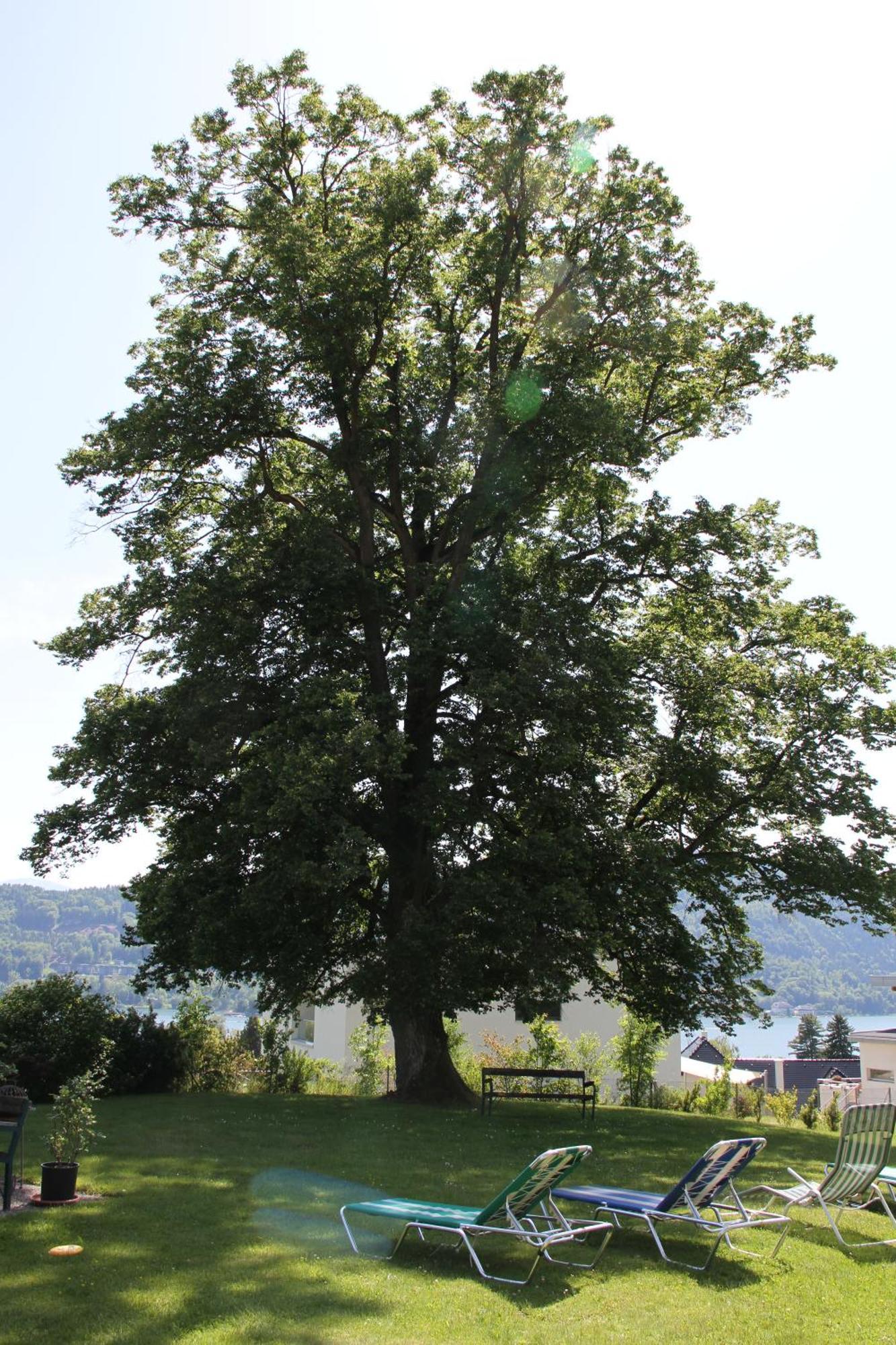 Landhaus Strussnighof Pörtschach am Wörthersee Exterior foto